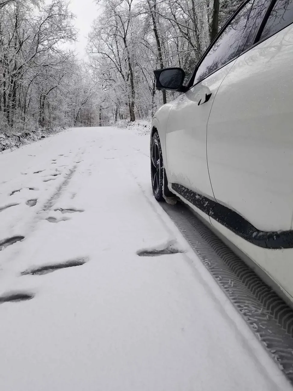 11th Gen Honda Civic Best advice for factory size all season tires? img_2_1746861498521