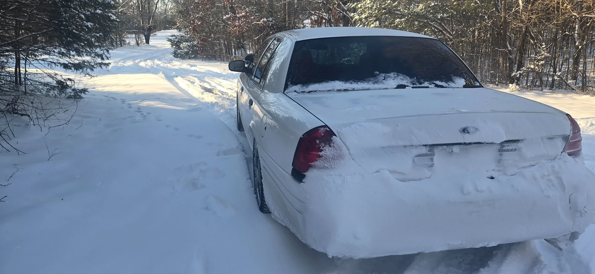 11th Gen Honda Civic Best advice for factory size all season tires? 20260126_084436