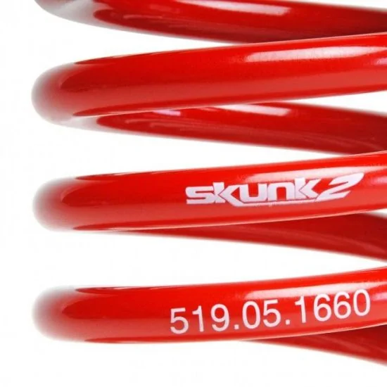 11th Gen Honda Civic Skunk2 Racing 16-17 Civic Lowering Springs | Starting at $18/month with Affirm 519-05-17753_550x550