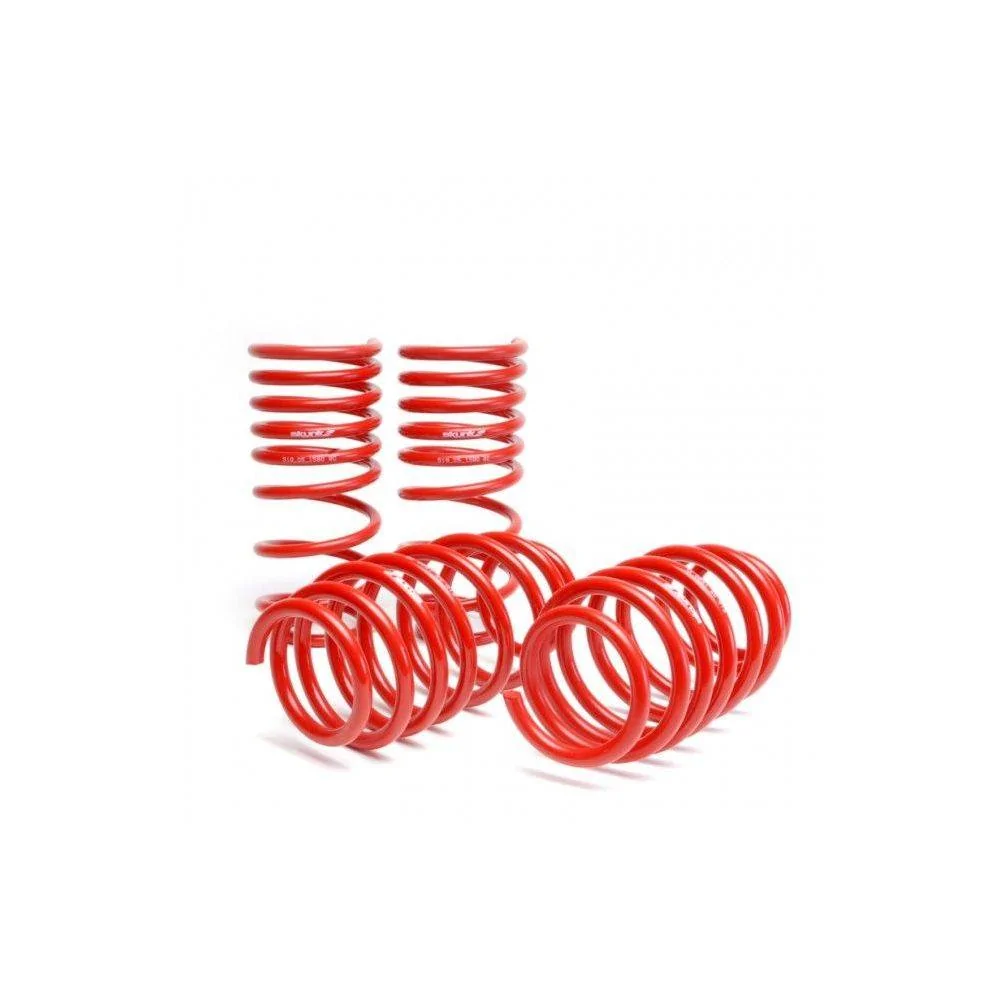11th Gen Honda Civic Skunk2 Racing 16-17 Civic Lowering Springs | Starting at $18/month with Affirm 1000_519-05-1775