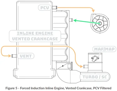 PCV_Filtered.webp